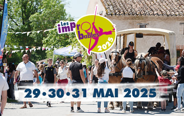 Festival les imPrO'bables