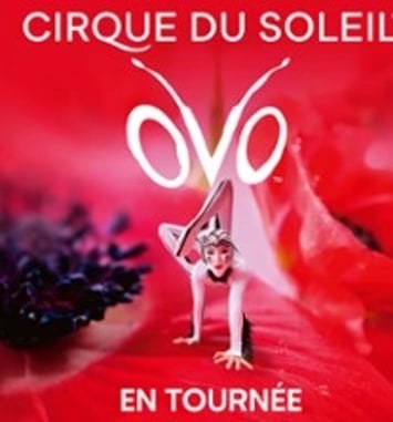 Cirque du Soleil OVO