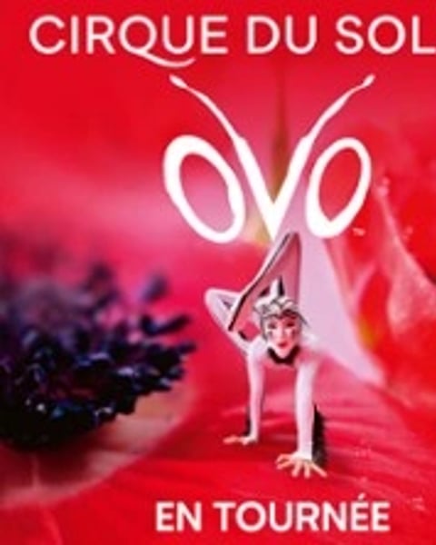 Cirque du Soleil OVO