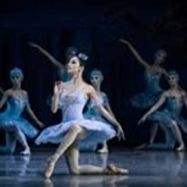La belle au bois dormant