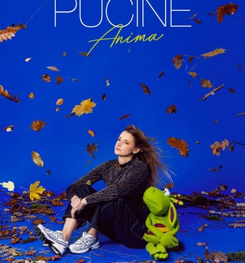 Le Cas Pucine