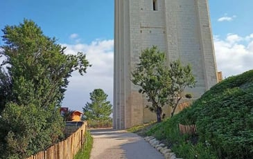 Visite de la Tour Carrée