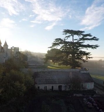 Visite commentée du Château du Fou