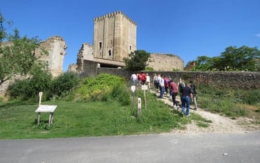 Visite du donjon de Moncontour