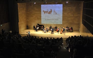 Zoo Circus Saint-Saëns, Campoensemble Ars Nova et Romain Dayez, récitant
