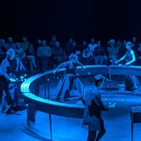 Les Métamorphoses Bastien David et Les Insectes