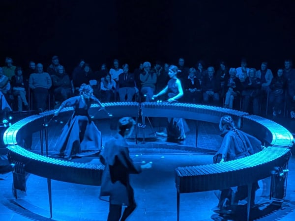 Les Métamorphoses Bastien David et Les Insectes