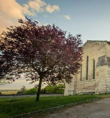 Une église du XIIe siècle ouvre ses portes !