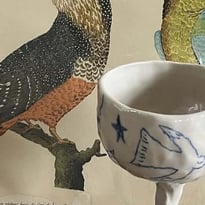 Exposition « Le Langage des oiseaux »