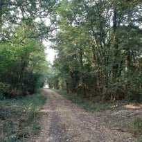 Randonnée « Par nos chemins »