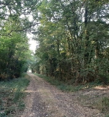 Randonnée « Par nos chemins »