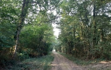 Randonnée « Par nos chemins »