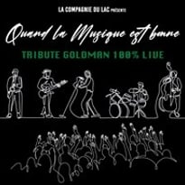 Hommage à Goldman 100% Live : Quand la musique est bonne