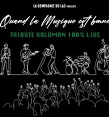Hommage à Goldman 100% Live : Quand la musique est bonne