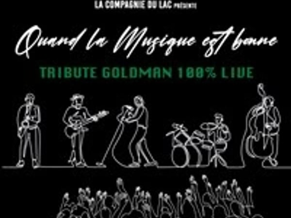 Hommage à Goldman 100% Live : Quand la musique est bonne