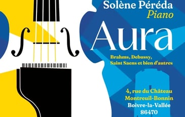 Visite guidée : AURA Concert et Lumières