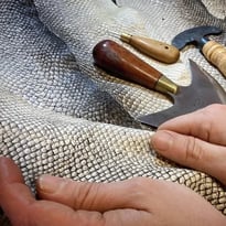 L'art du tannage et le travail du cuir dans l'Antiquité