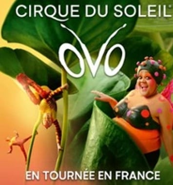 Ovo (Cirque du Soleil)