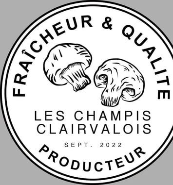 Visite guidée de la champignonnière