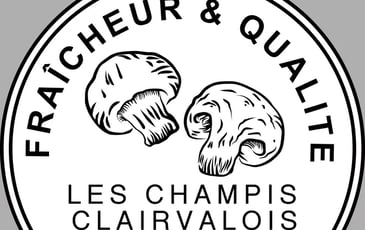 Visite guidée de la champignonnière