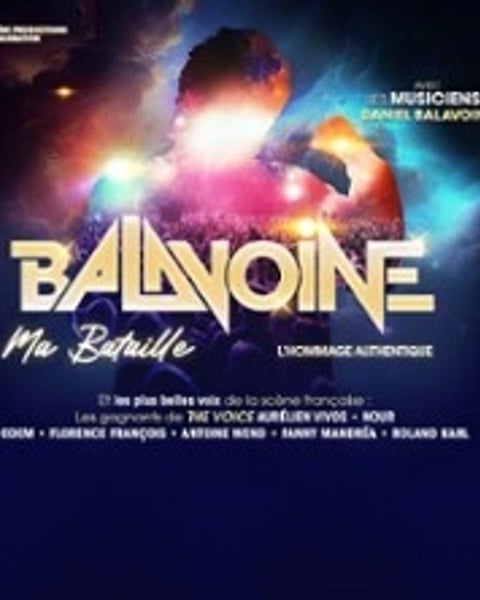 Balavoine, Ma Bataille
