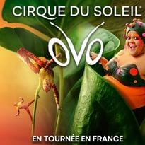 Cirque du Soleil OVO