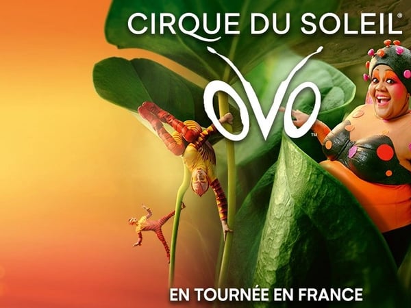 Cirque du Soleil OVO
